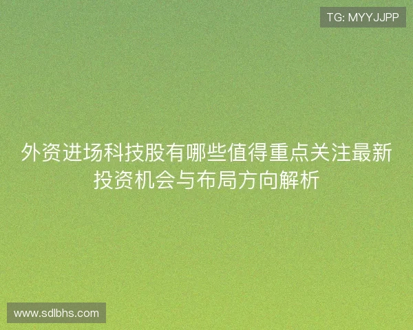 外资进场科技股有哪些值得重点关注最新投资机会与布局方向解析